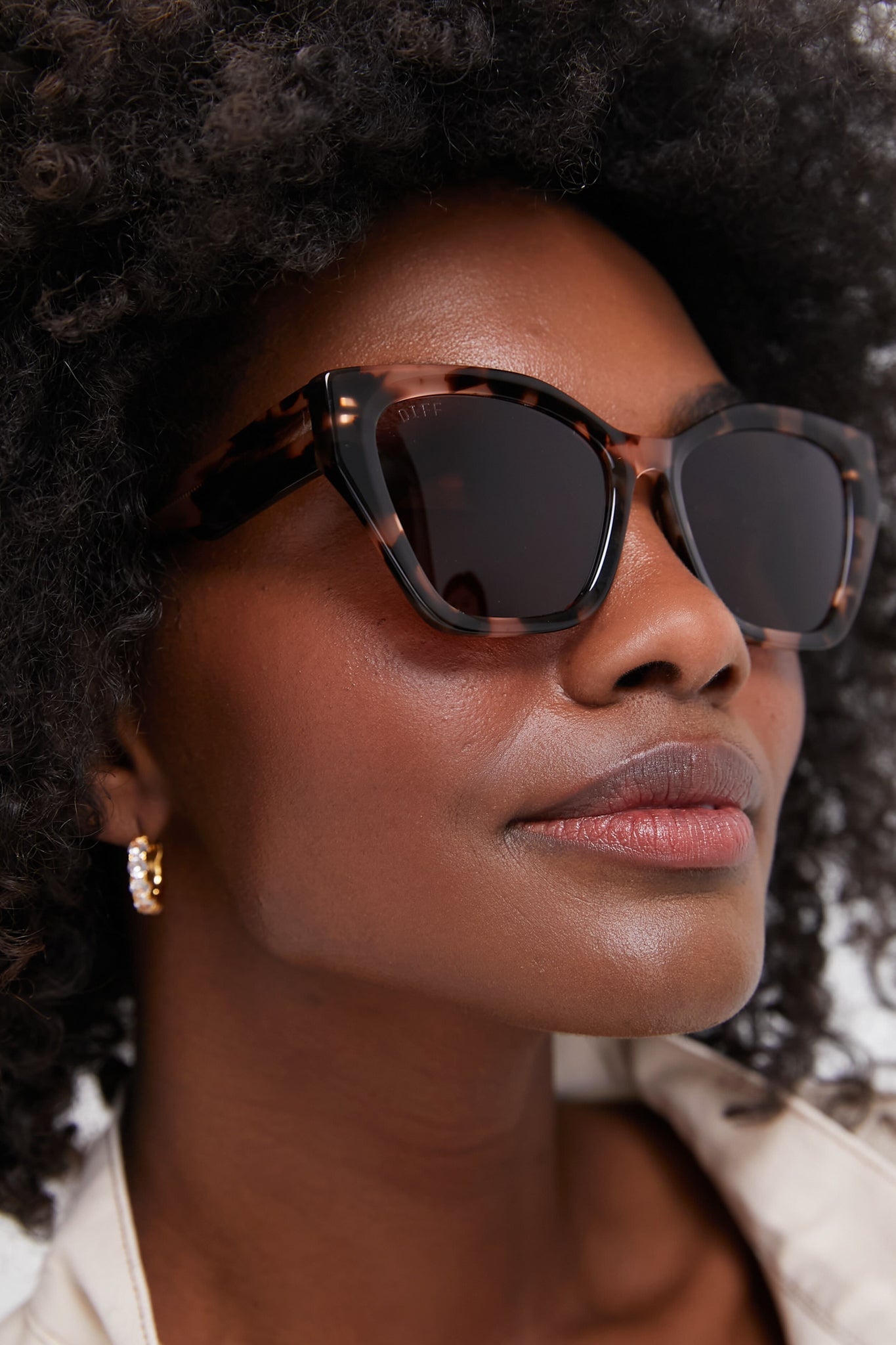 Tortoise and Brown Evie Himalayan Sunglasses